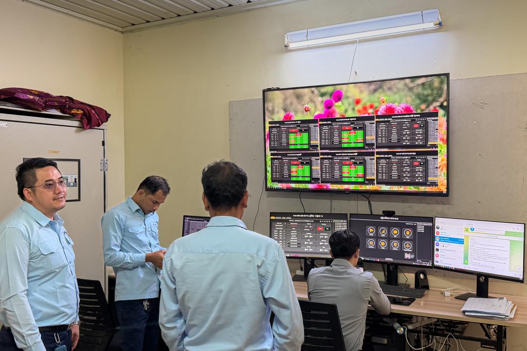 Driving Eco-Sustainability Through Smart Grid Innovation