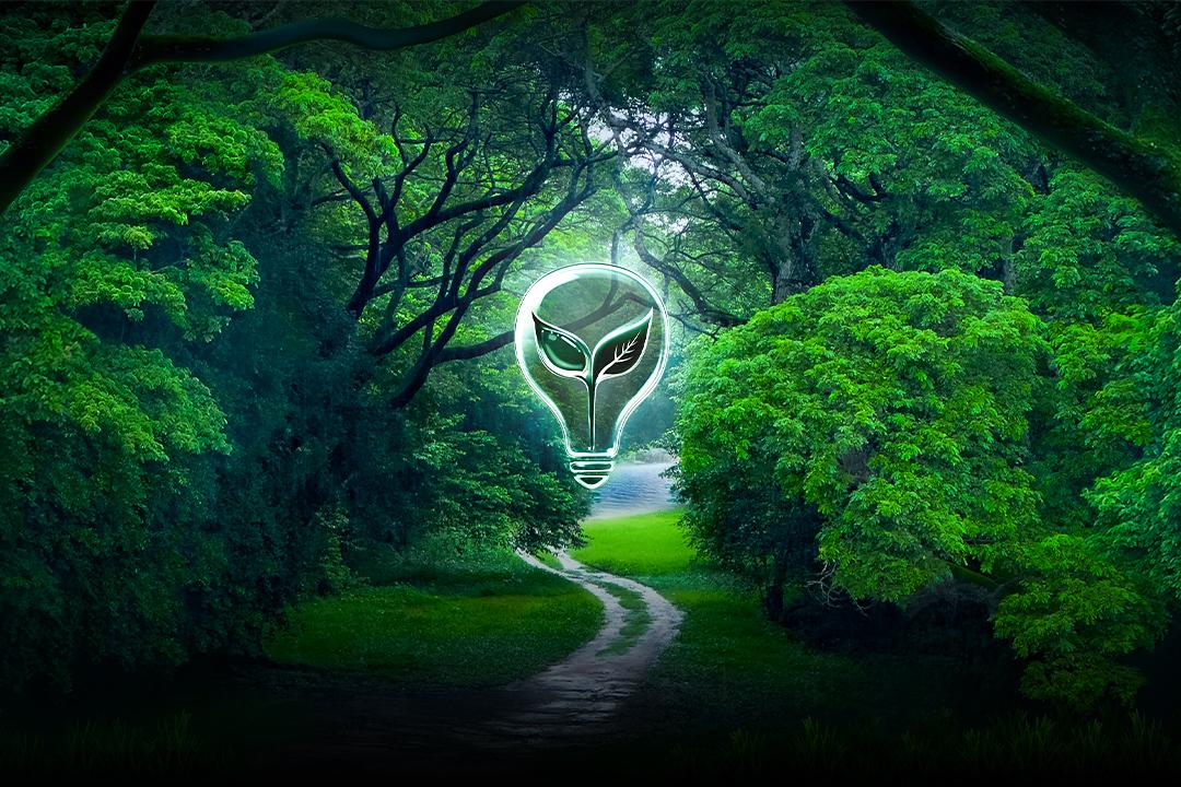 The Way of Revolution - The SIMA Journey of VP.Start